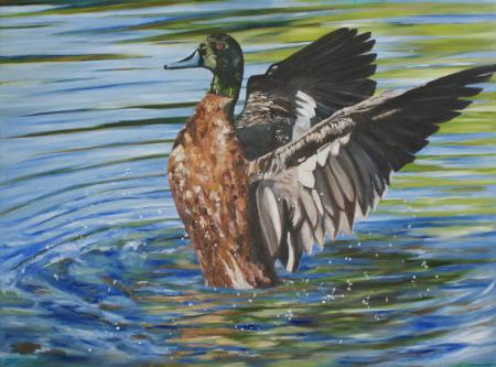 Emerging Jenine Bell