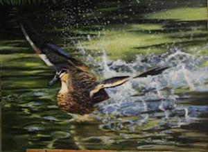 profile-43059-b73233369fa67f7d643f50ab230d8fc1